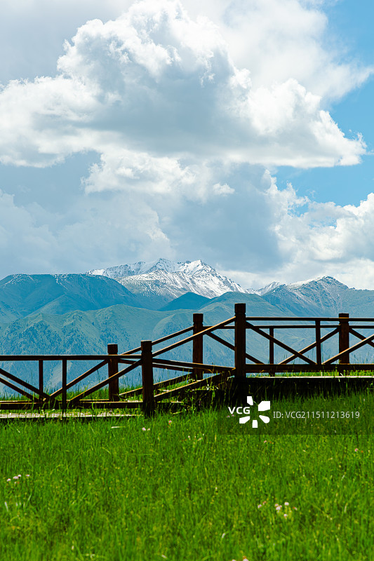 青海的盛夏图片素材
