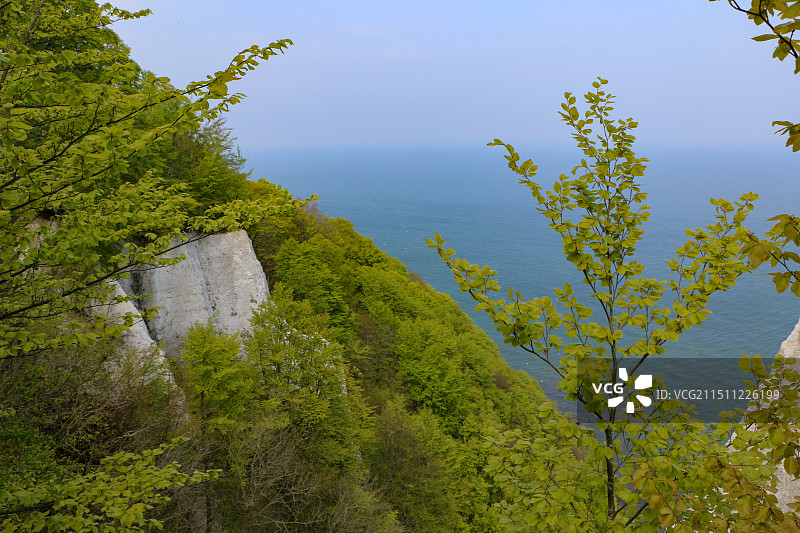 树木和植物在天空中的高角度视图图片素材