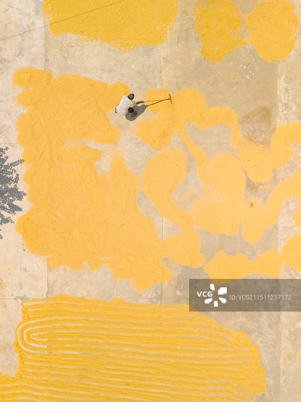 晒稻谷的人图片素材