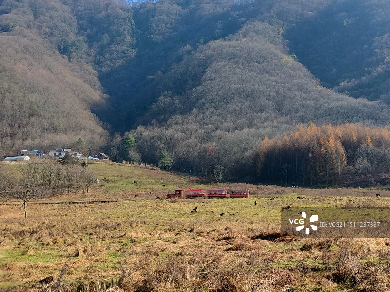 神农架大九湖游览车图片素材