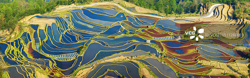 七彩云南，哈尼梯田图片素材