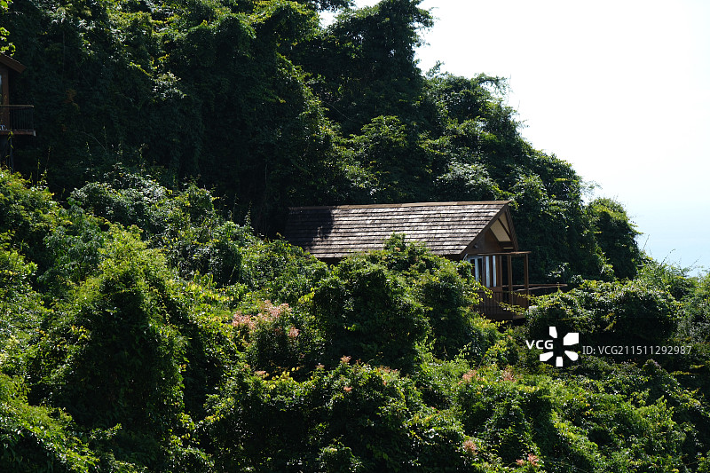 三亚亚龙湾热带天堂森林公园林中木屋图片素材