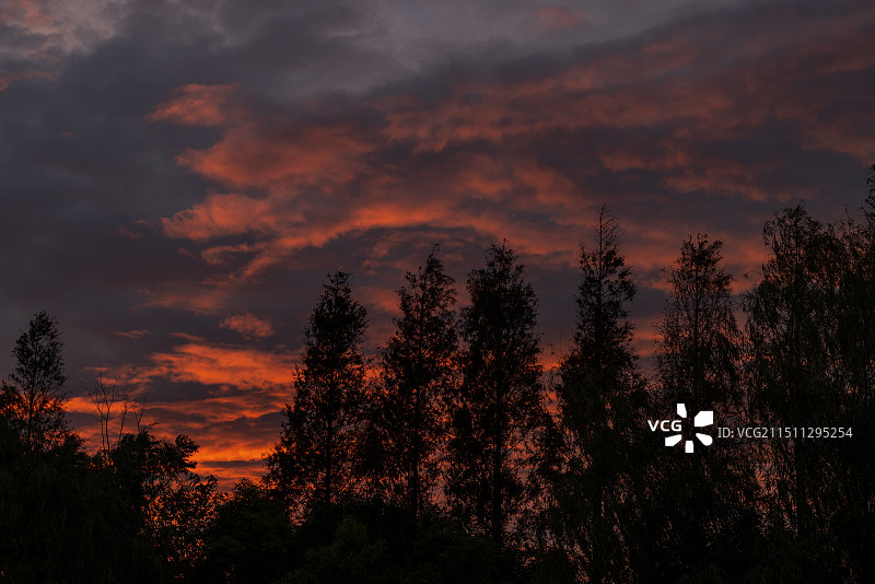 在土耳其黑海边的城市奥尔度。傍晚美丽的晚霞图片素材