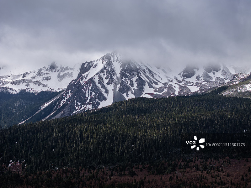云南省迪庆 香格里拉 下雪天气云雾中的宏伟壮观高海拔地区雪山森林群山 美丽的中国自然风光仙境 航拍图图片素材