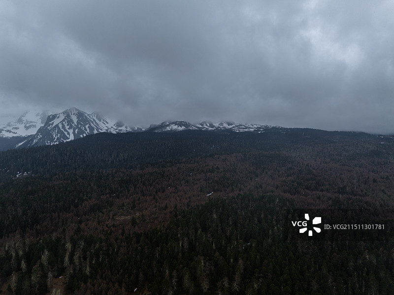 云南省迪庆 香格里拉 下雪天气云雾中的宏伟壮观高海拔地区雪山森林群山 美丽的中国自然风光仙境 航拍图图片素材