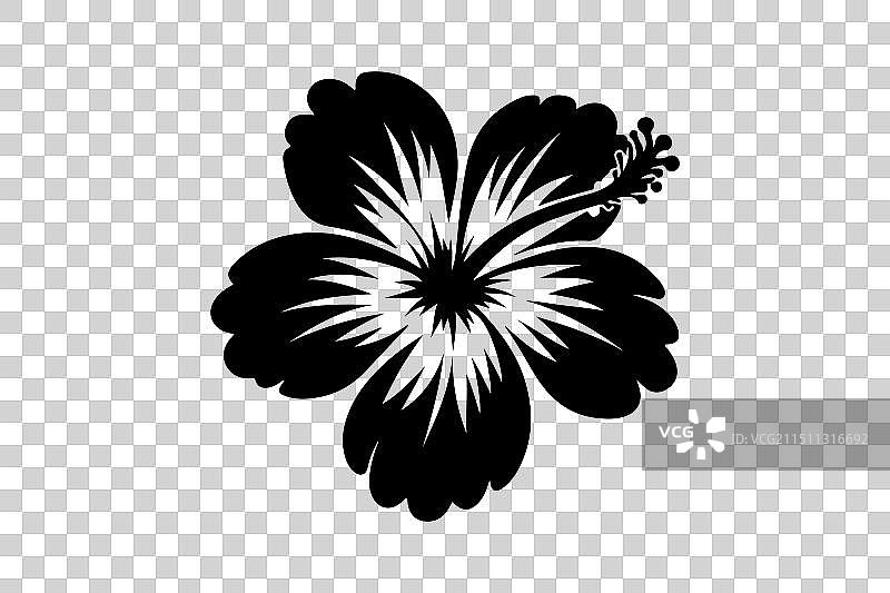 白色背景下的芙蓉花剪影图片素材