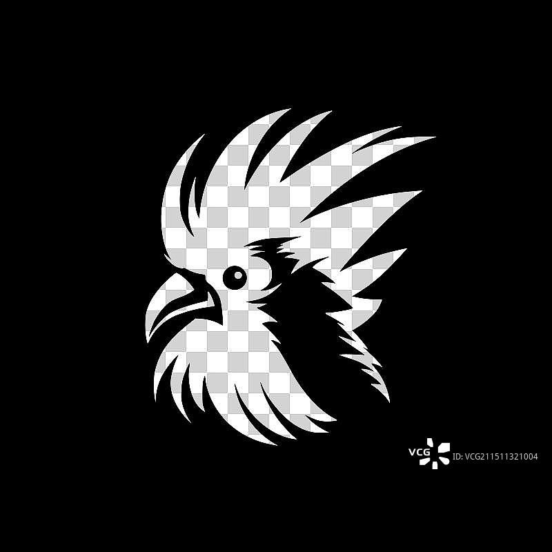 黑白鹦鹉图片素材