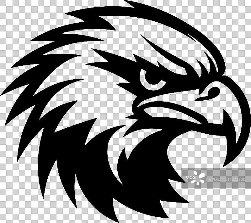 黑白猎隼图片素材