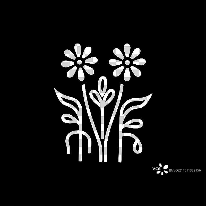 黑白花朵隔离图标图片素材