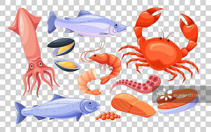 包括螃蟹鱿鱼等海鲜鱼类图片素材