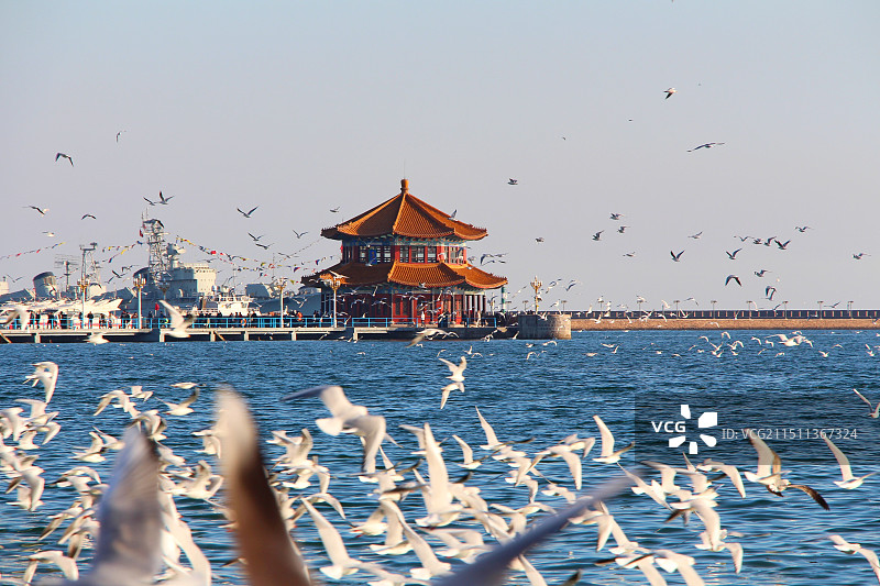 晴空万里，海鸥逐浪图片素材