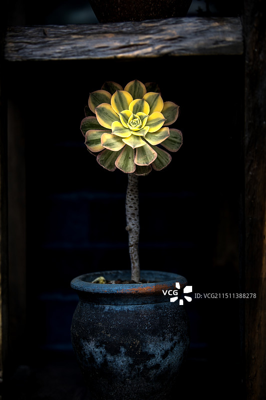 小汤山现代农业示范园区图片素材