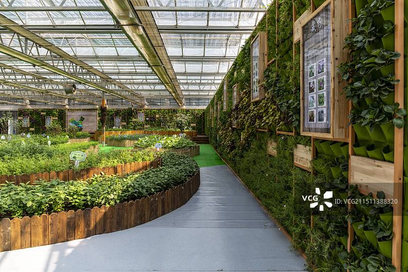 小汤山现代农业示范园图片素材