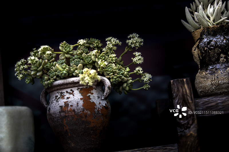 小汤山现代农业示范园区图片素材