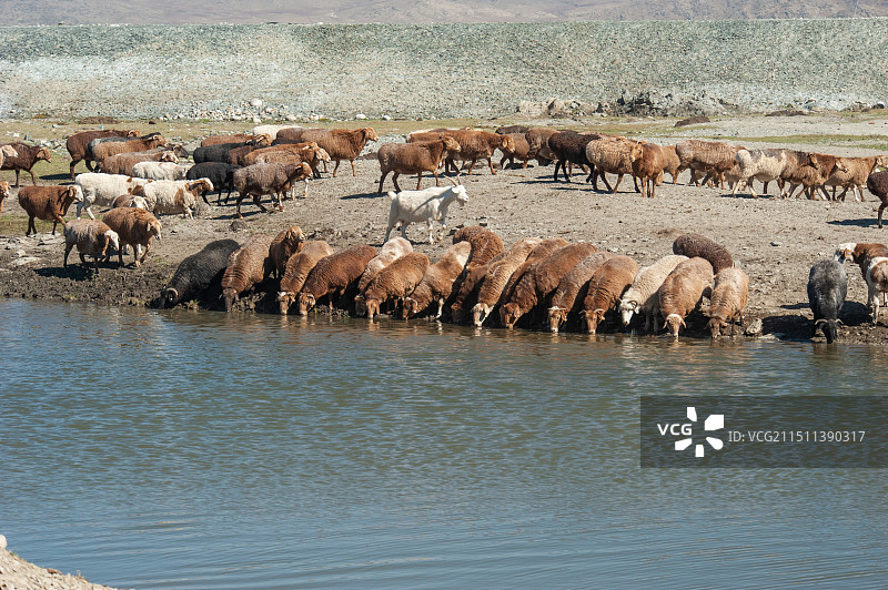 新疆阿勒泰可可托海风光摄影图片素材