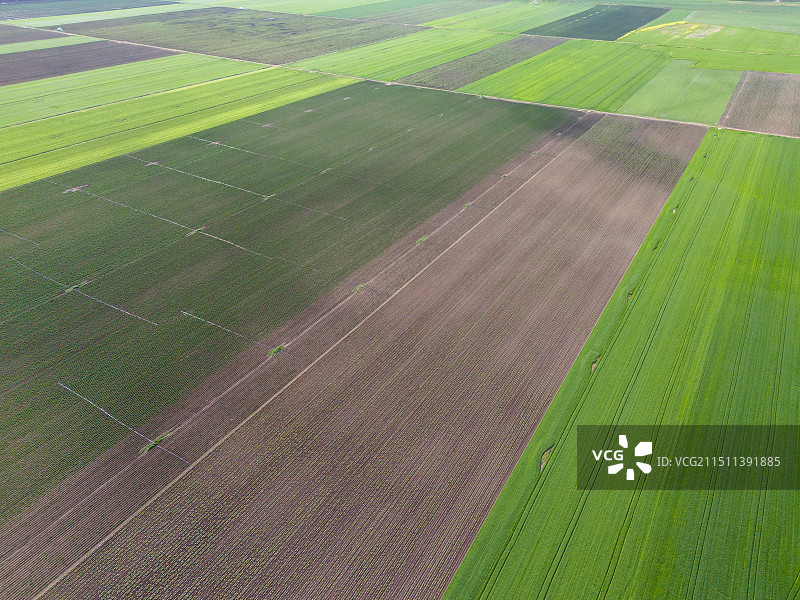 新疆昭苏七十七团农田航拍图片素材