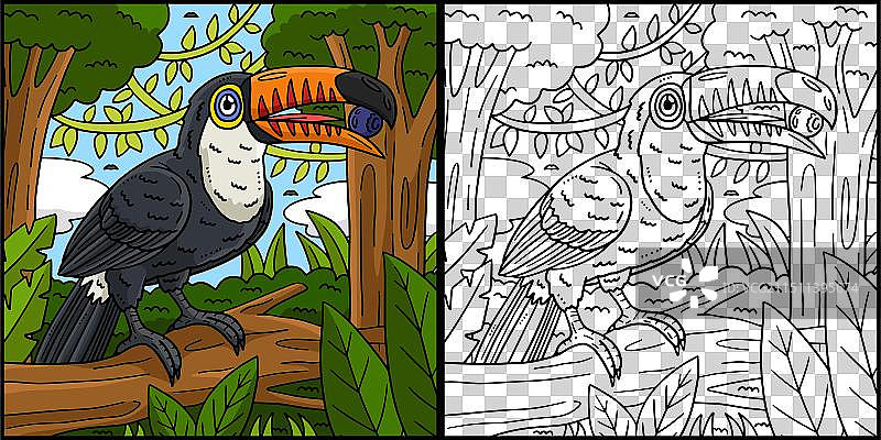 彩色巨嘴鸟填色页图片素材