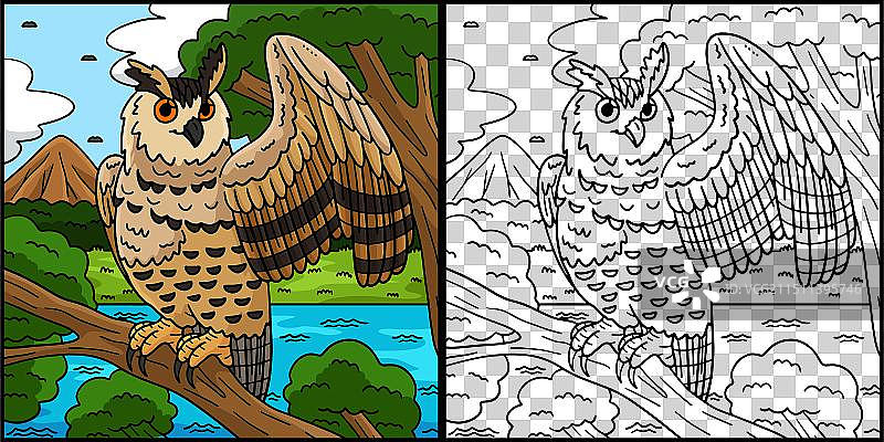 欧亚雕鸮填色页图片素材