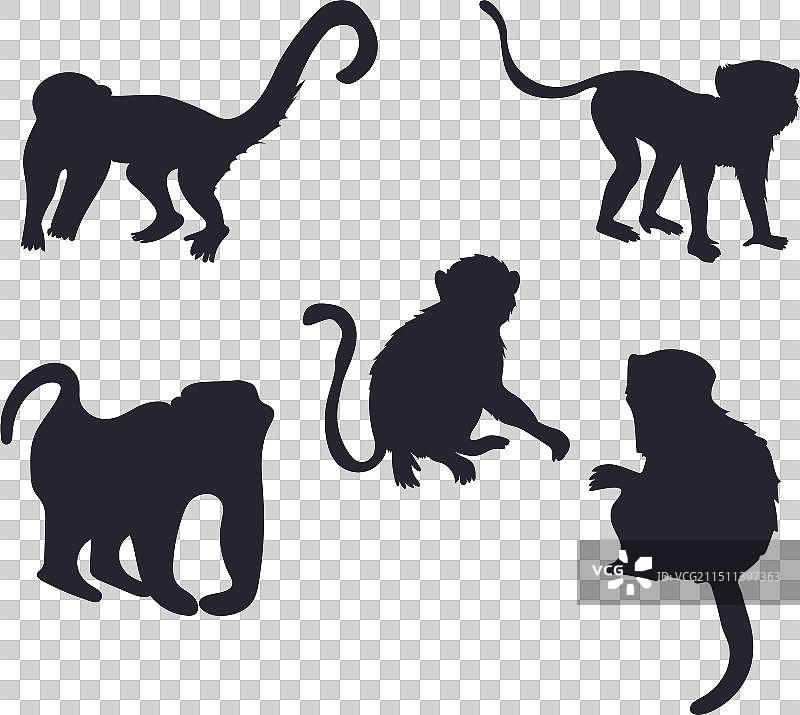 猴子剪影图片素材