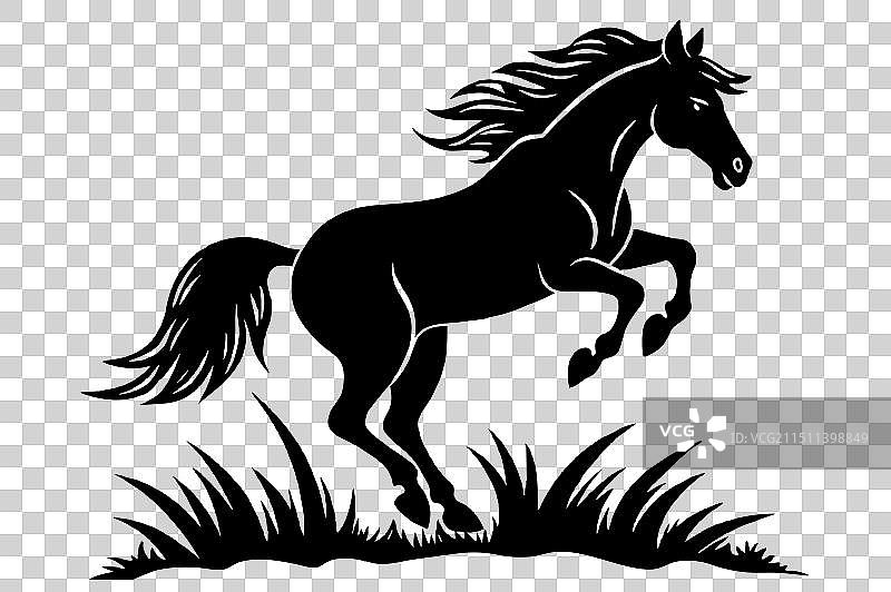 激动人心的马术跳跃，优雅的力量图片素材