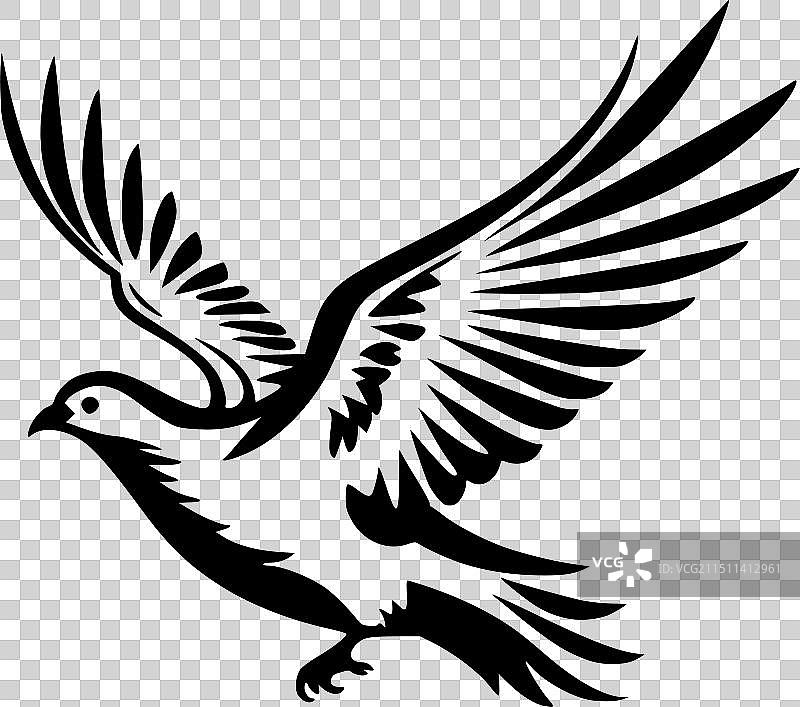 鸽子 - 黑白图片素材