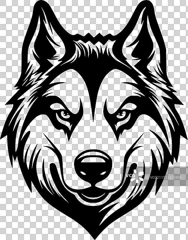 黑白西伯利亚哈士奇图片素材