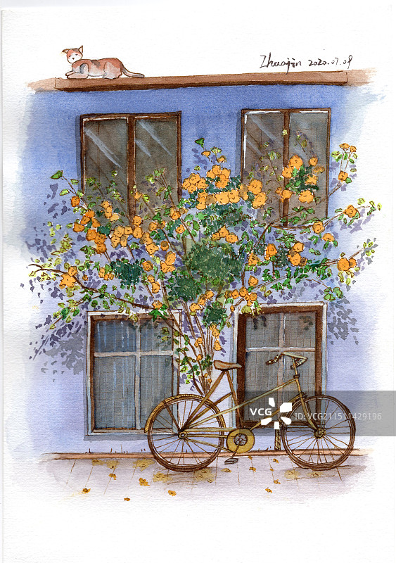 窗口/墙/花卉图片素材