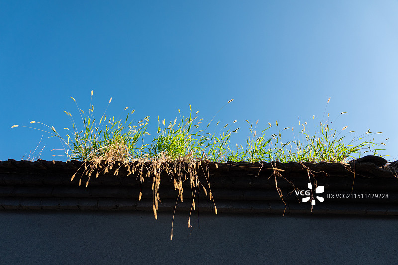 白塔寺图片素材