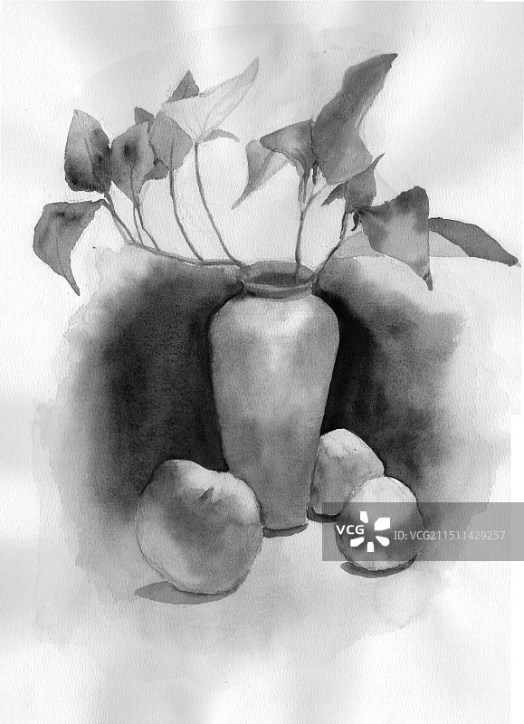 黑白/素描/陶罐/植物/花瓶图片素材