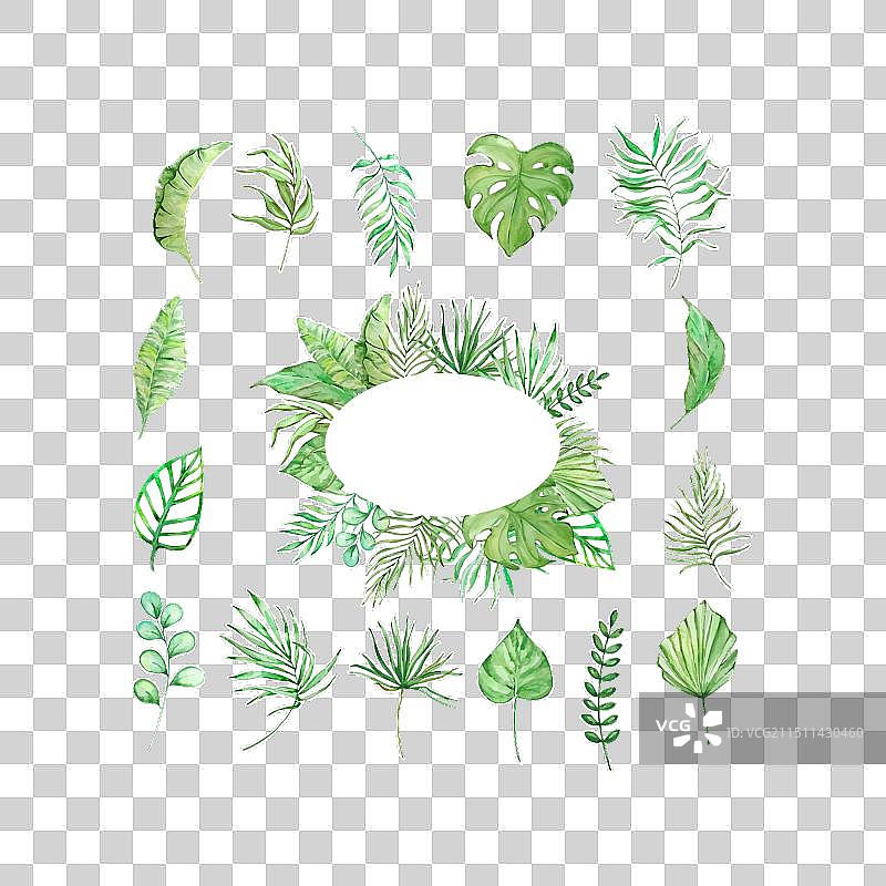 热带绿色树叶水彩边框图片素材