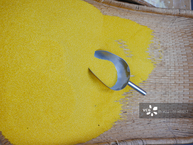 黄色的小米特写图片素材