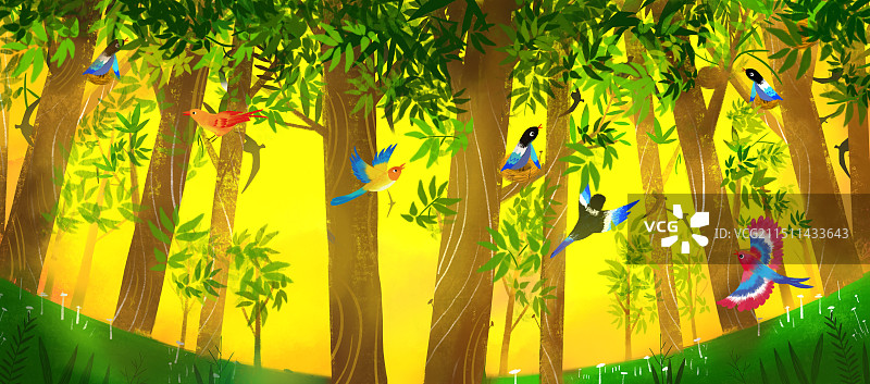 树林鸟类图片素材