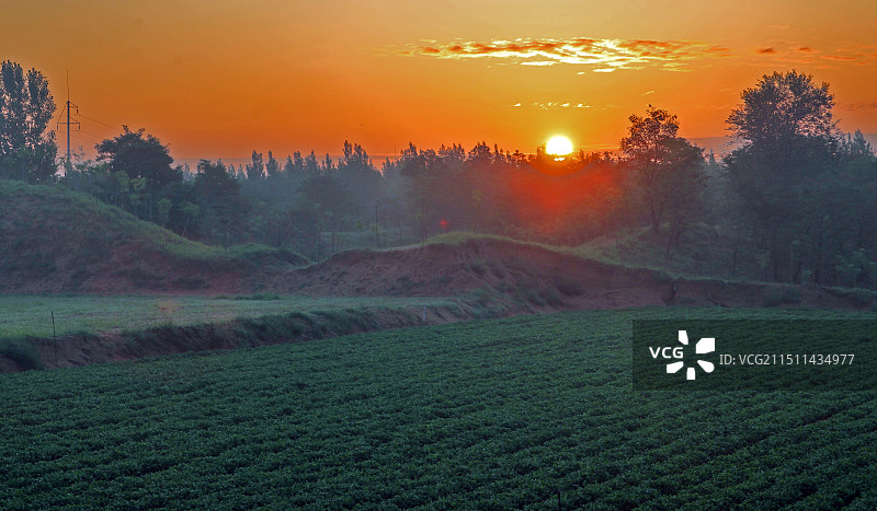 陕西大荔县沙苑景区雨后赏风光图片素材