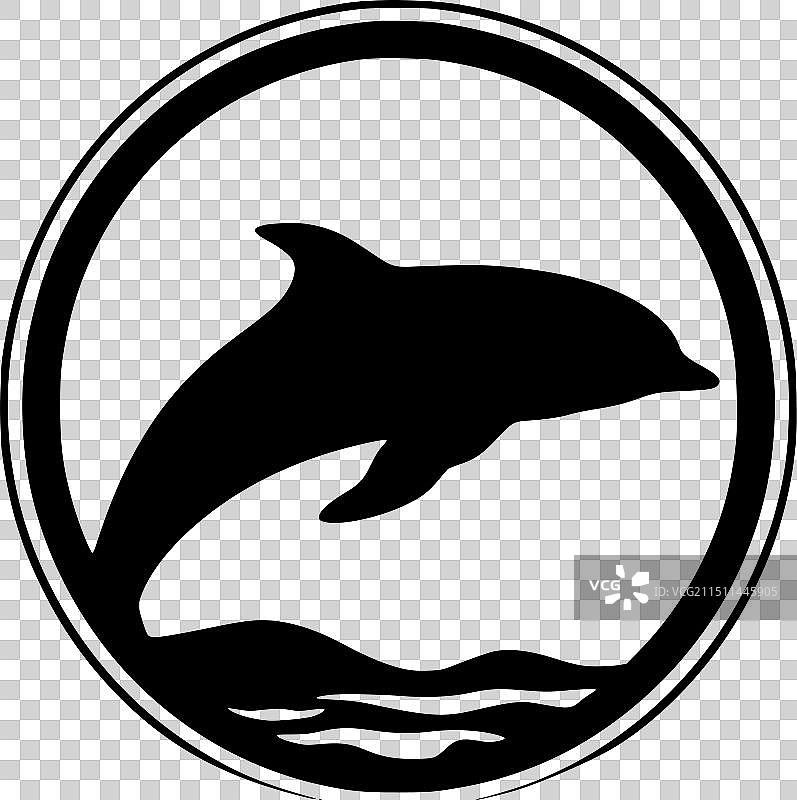 黑白海豚图片素材