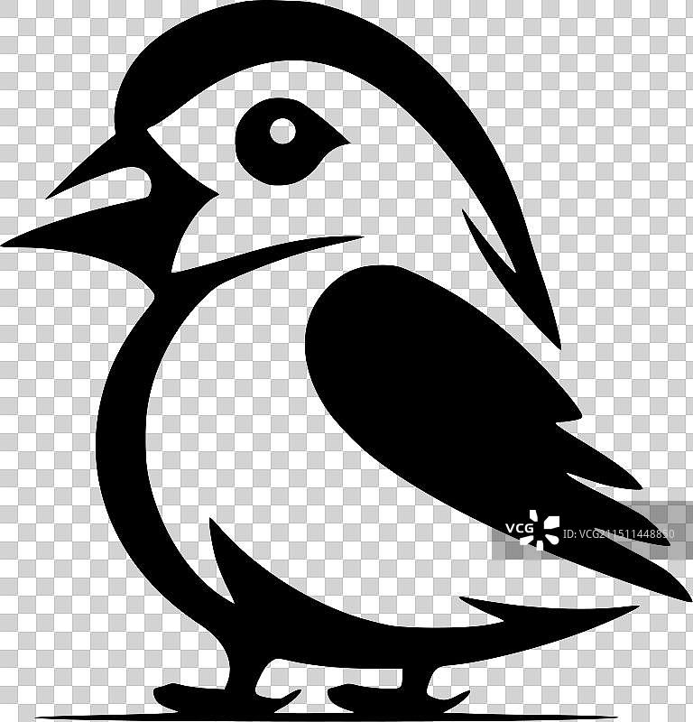 黑白海鹦图片素材