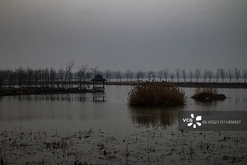 鱼台旧城海子图片素材