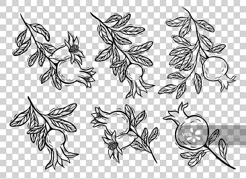 带有花朵和树叶的树枝图片素材