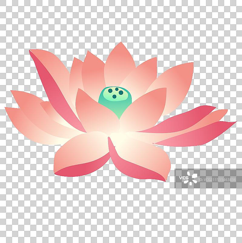 荷花莲叶夏天海报传统二十四节气水池塘模板图片素材