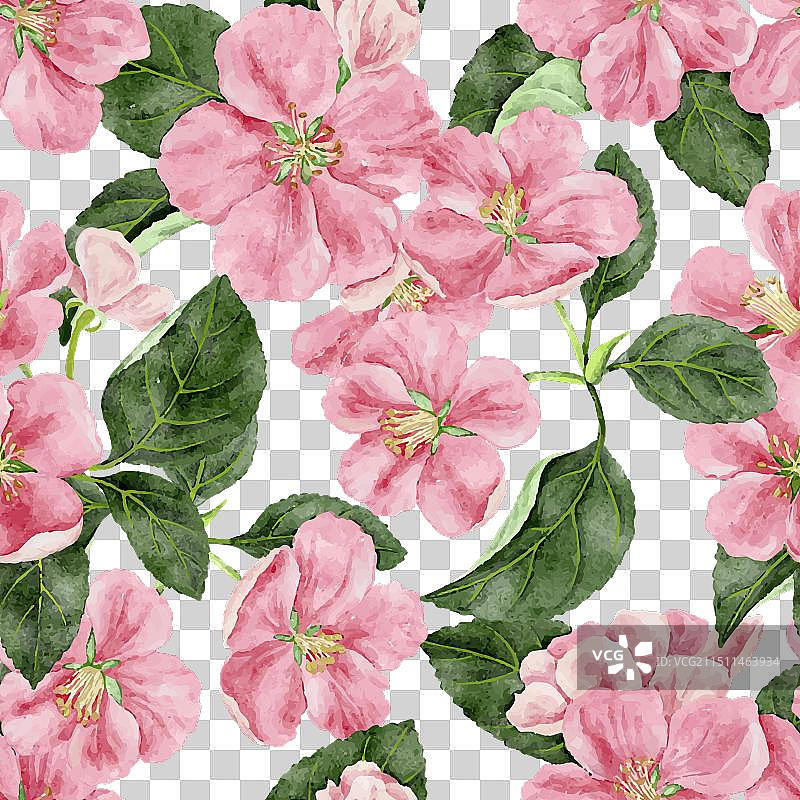 苹果花无缝图案图片素材