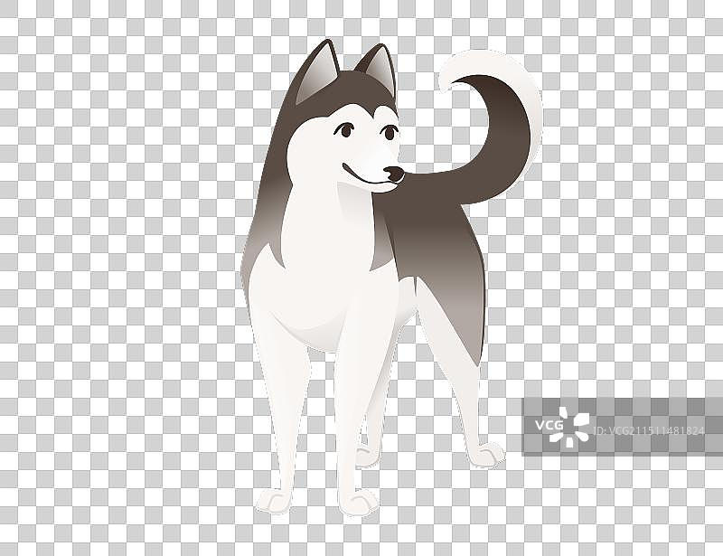 可爱的西伯利亚哈士奇纯种卡通狗图片素材