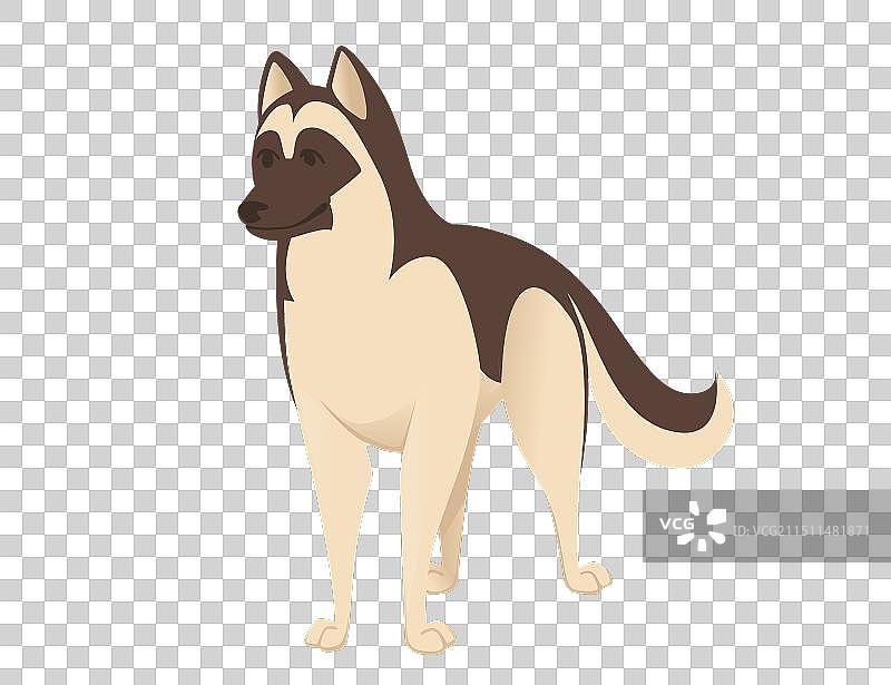 可爱的家犬德国牧羊犬卡通图片素材