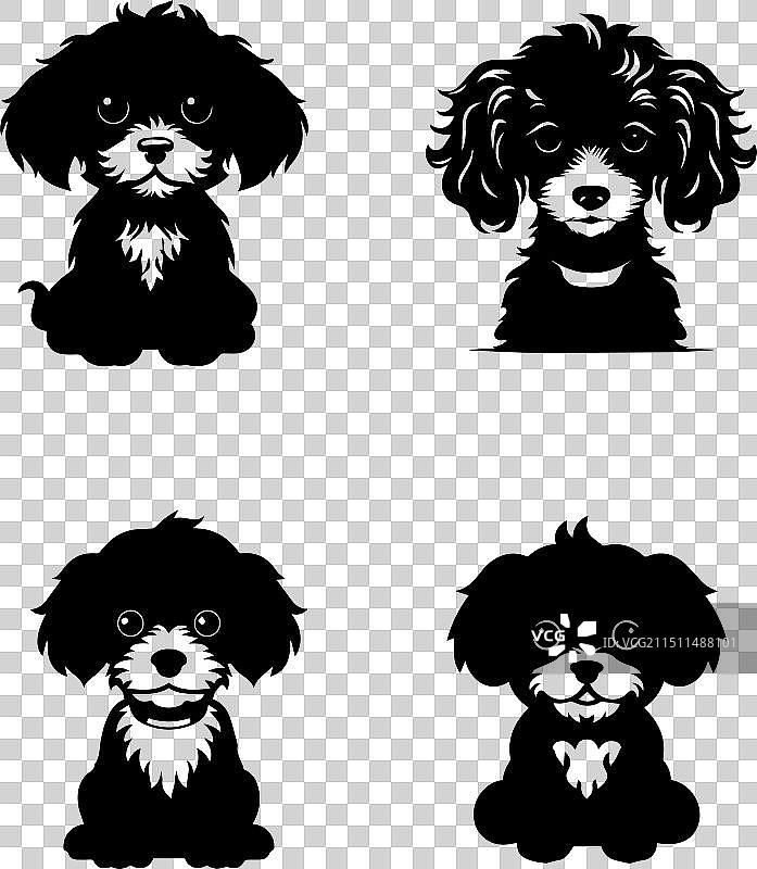 毛发蓬松的贵宾犬剪影图标图片素材