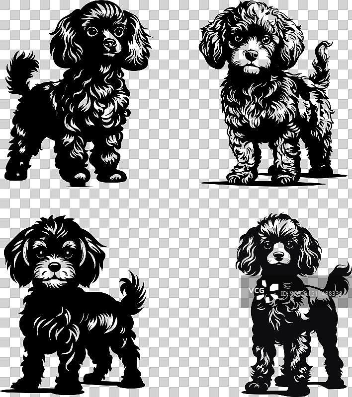 毛发蓬松的贵宾犬剪影图标图片素材