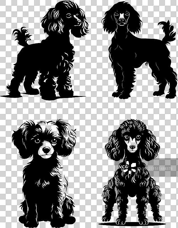 毛发蓬松的贵宾犬剪影图标图片素材