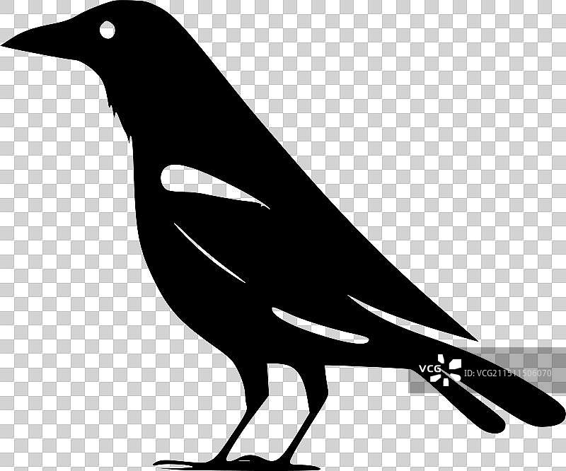 乌鸦极简剪影图片素材