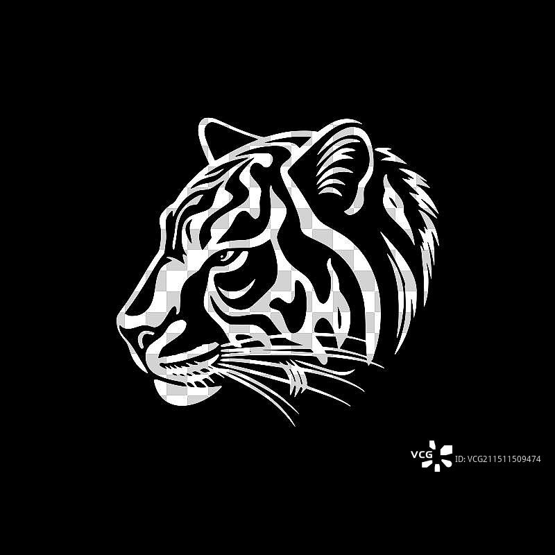 黑白ocelot图片素材