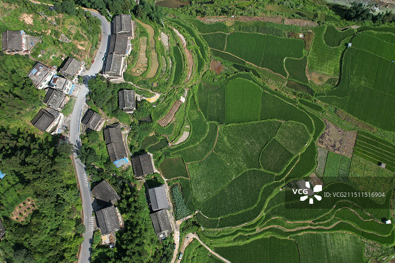 贵州榕江：夏日田园乡村美图片素材