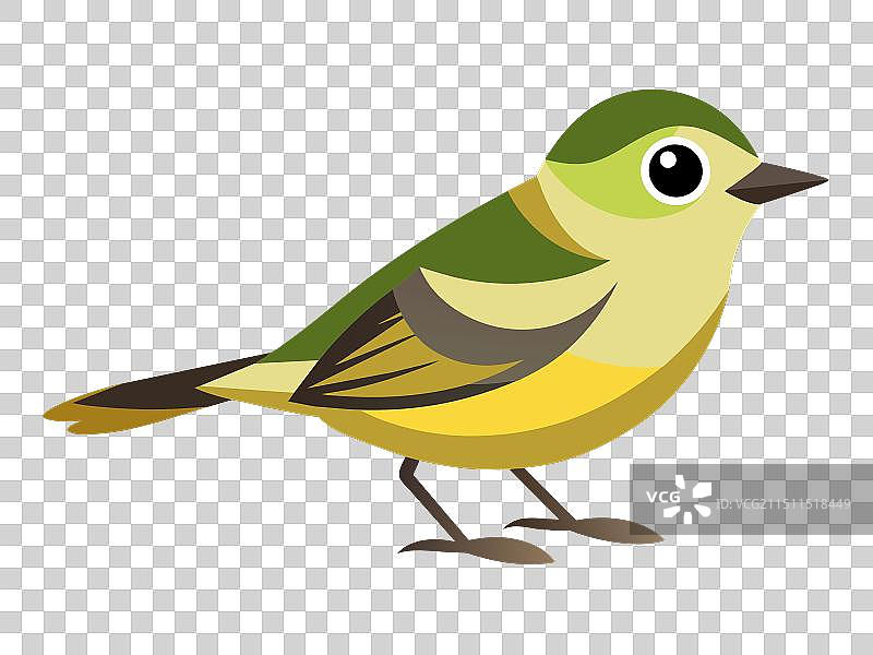 林间絮语：绿鹃鸟的旋律图片素材