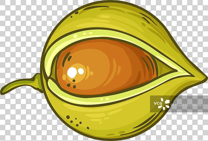 彩色细节澳洲坚果图片素材