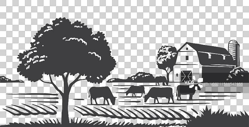 乳品种植园：乡村草地上吃草的奶牛图片素材